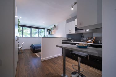 1 bed studio, 170 Armada Way, City Centre, Plymouth, PL11LB - Image 4